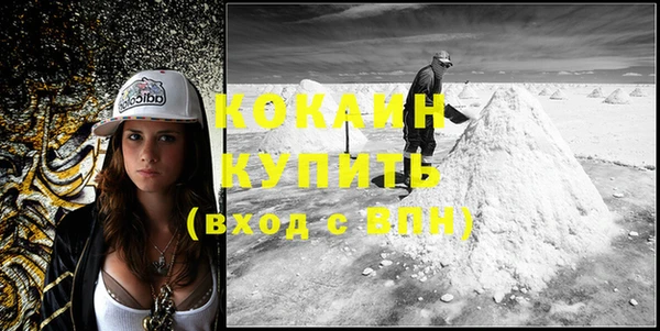 индика Михайловск