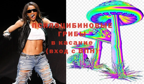 индика Михайловск