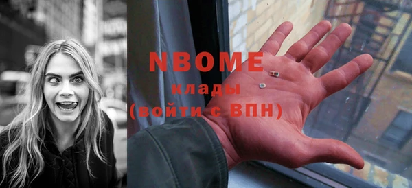 индика Михайловск