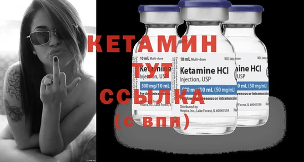 индика Михайловск