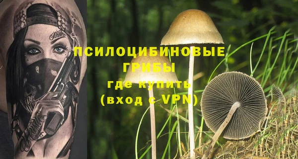 a pvp Вязники