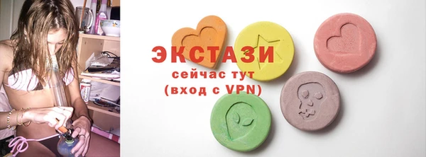 индика Михайловск