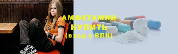 индика Михайловск