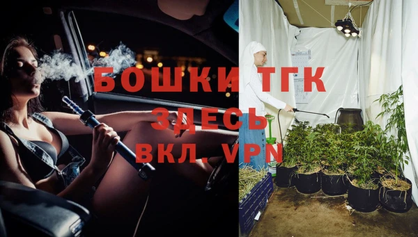 индика Михайловск