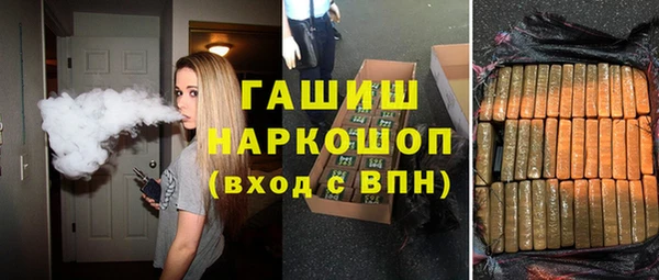 индика Михайловск