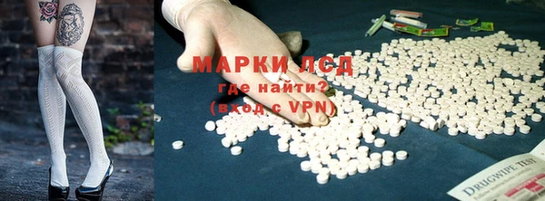 индика Михайловск
