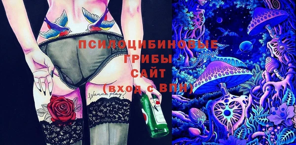 MDMA Premium VHQ Михайловка