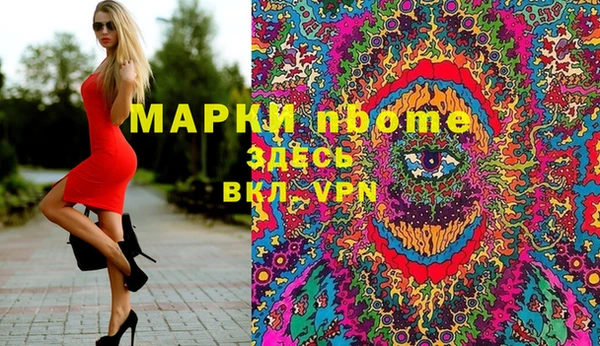 индика Михайловск