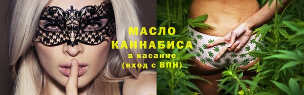 индика Михайловск