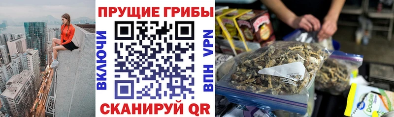 как найти закладки  Всеволожск  Псилоцибиновые грибы мухоморы 
