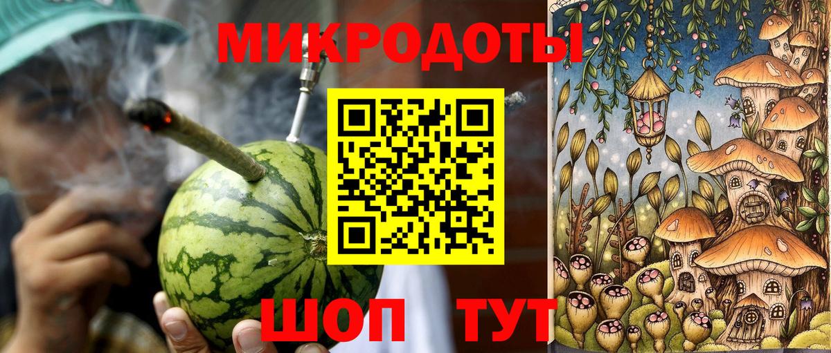 Галлюциногенные грибы Psilocybine cubensis  Всеволожск 