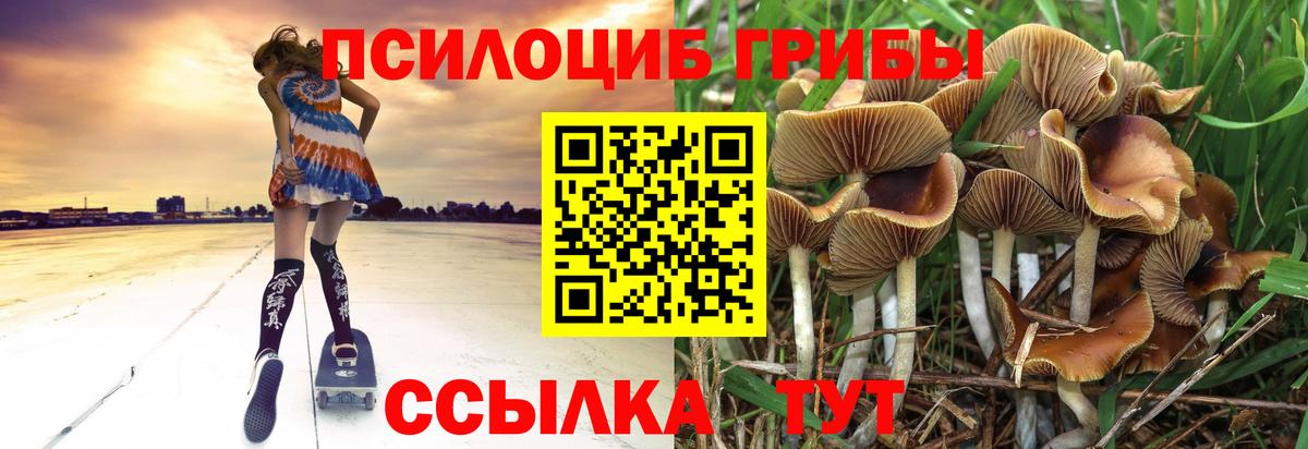 цена наркотик  Галлюциногенные грибы Psilocybe  Всеволожск  Вход с VPN  Псилоцибиновые грибы Magic Shrooms 